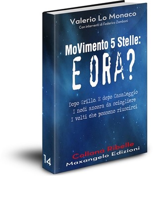 MoVimento 5 Stelle: e ora? - di Valerio Lo Monaco
