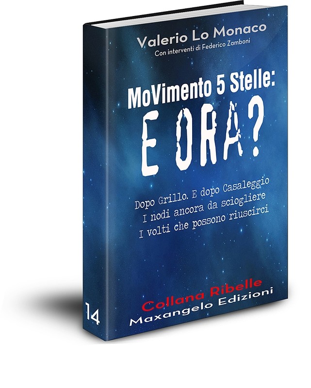MoVimento 5 Stelle: e ora? - di Valerio Lo Monaco