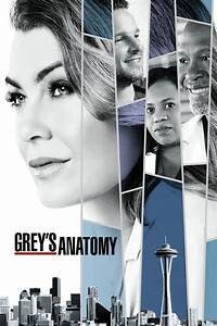 Everything Grey&#39;s Anatomy