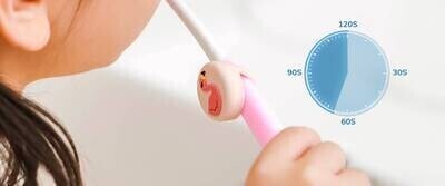 TruthBrush