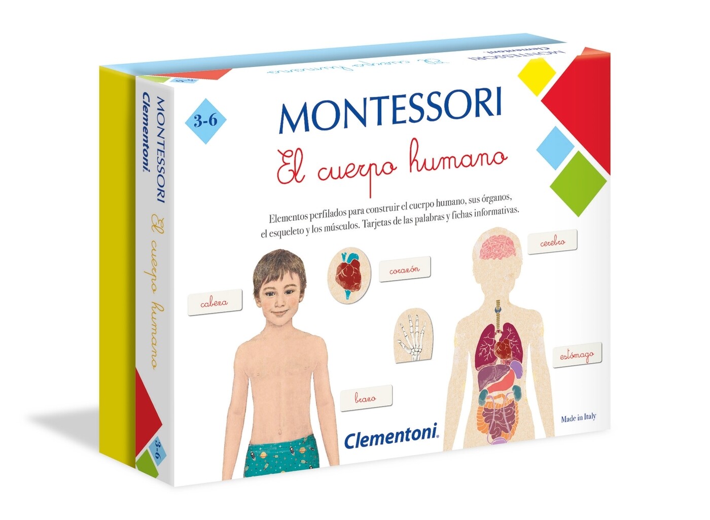 Clementoni - Montessori el Cuerpo Humano