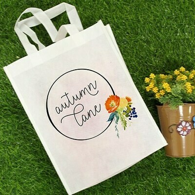 Non Woven Bag