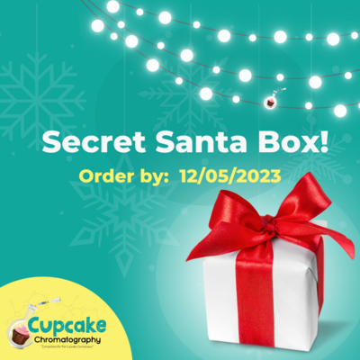Secret Santa Treat Box!