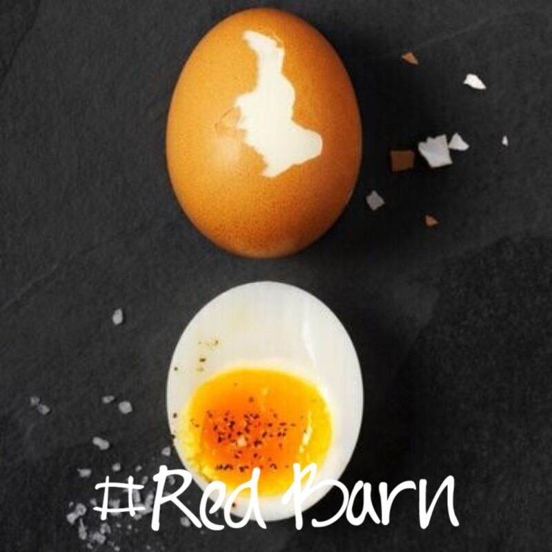 EGGS FREE Range Pullet (small) SUPER SPECIAL (per dozen)