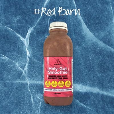 Smoothie Holy Gut 250ml