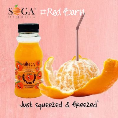 SOGA Organic Naartjie Juice 250ml
