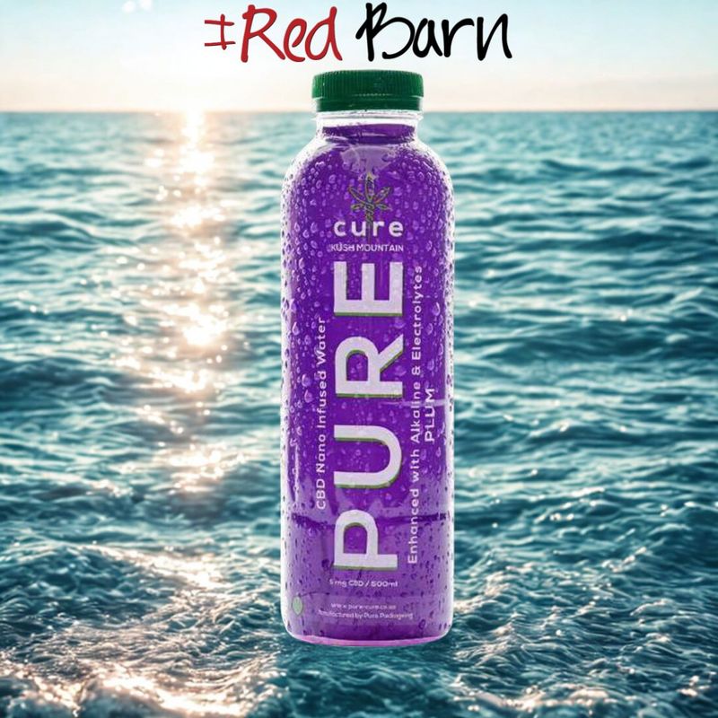 Pure Cure Water- Plum 500ml
