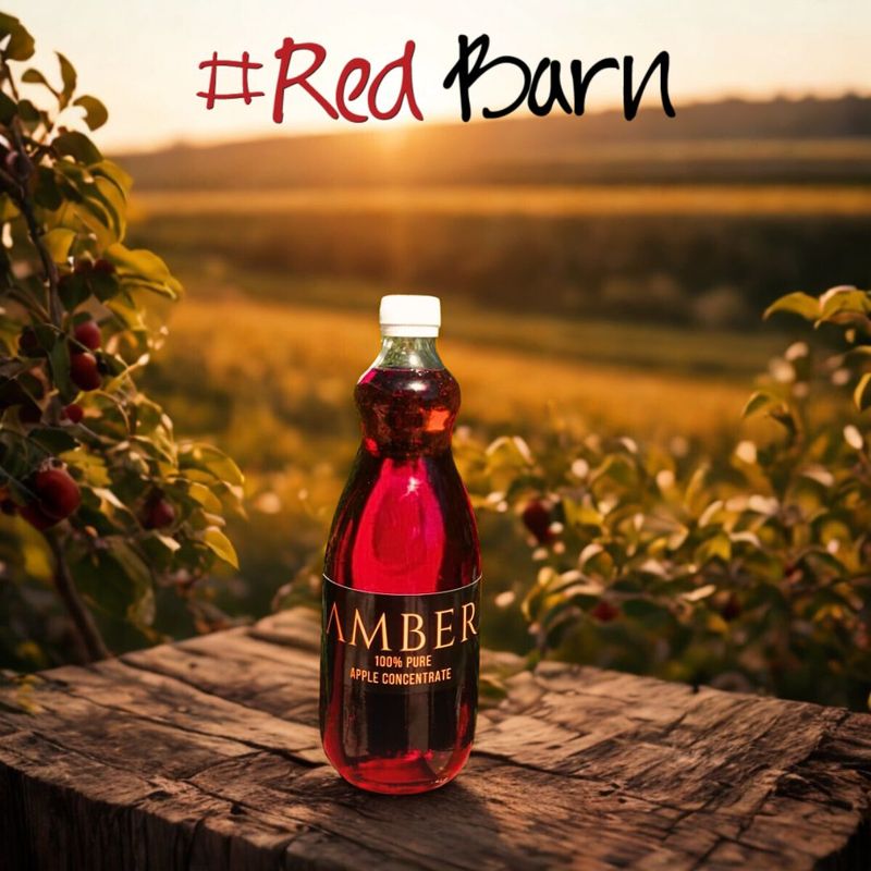 Apple Juice Concentrate 750ml