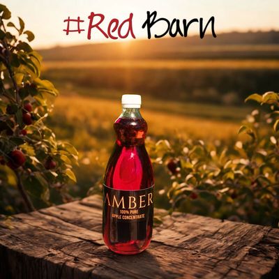 Apple Juice Concentrate 750ml