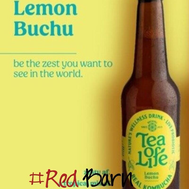 Kombucha Lemon Buchu 340ml