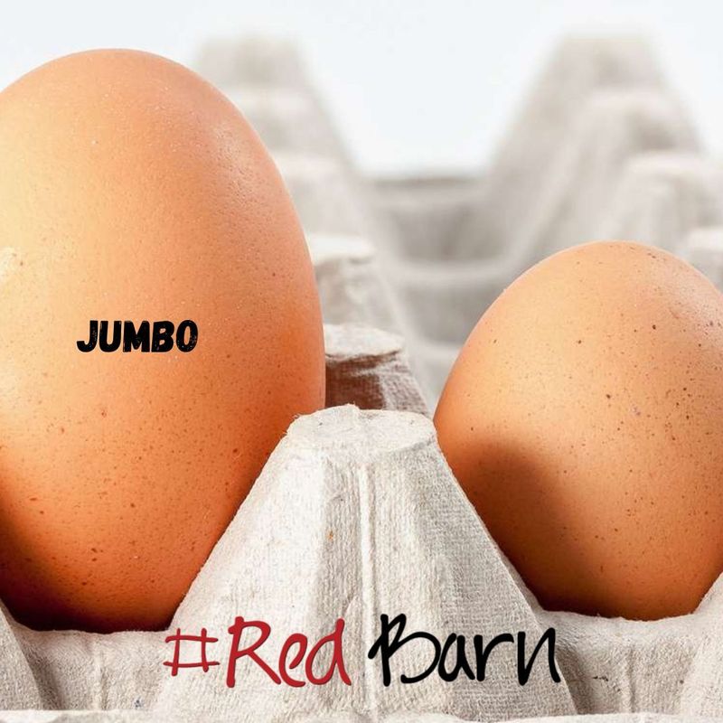 Eggs Free Range Jumbo (Per doz)