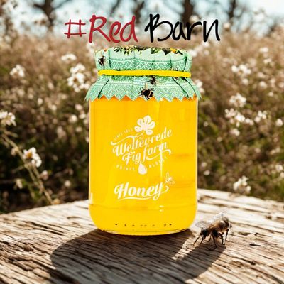 Weltevrede Fig Farm - Honey 500g