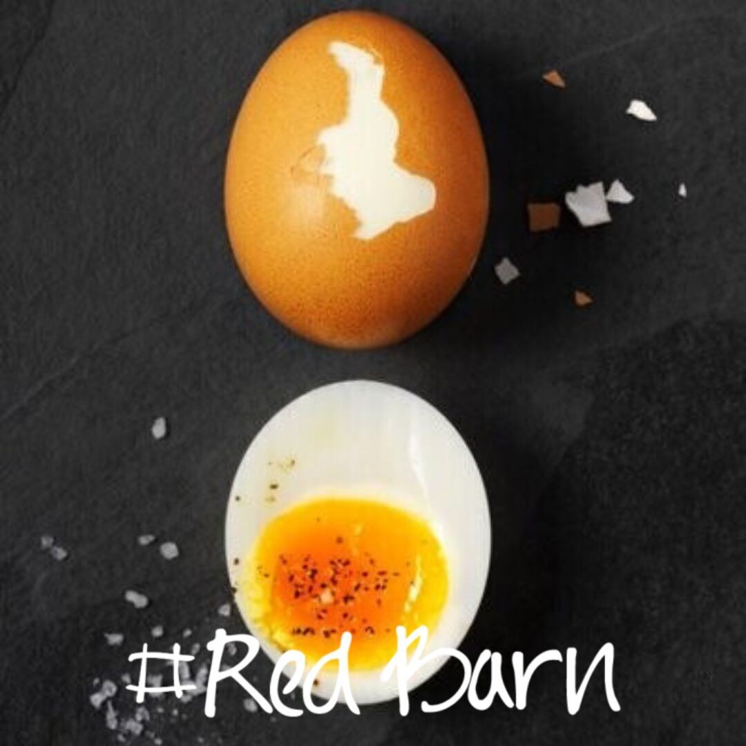 EGGS FREE Range Pullet (small) SUPER SPECIAL (per dozen)