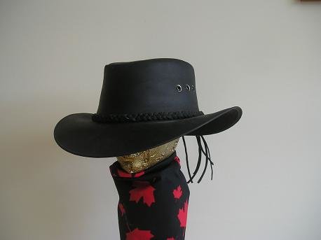 Black Leather Chaparral