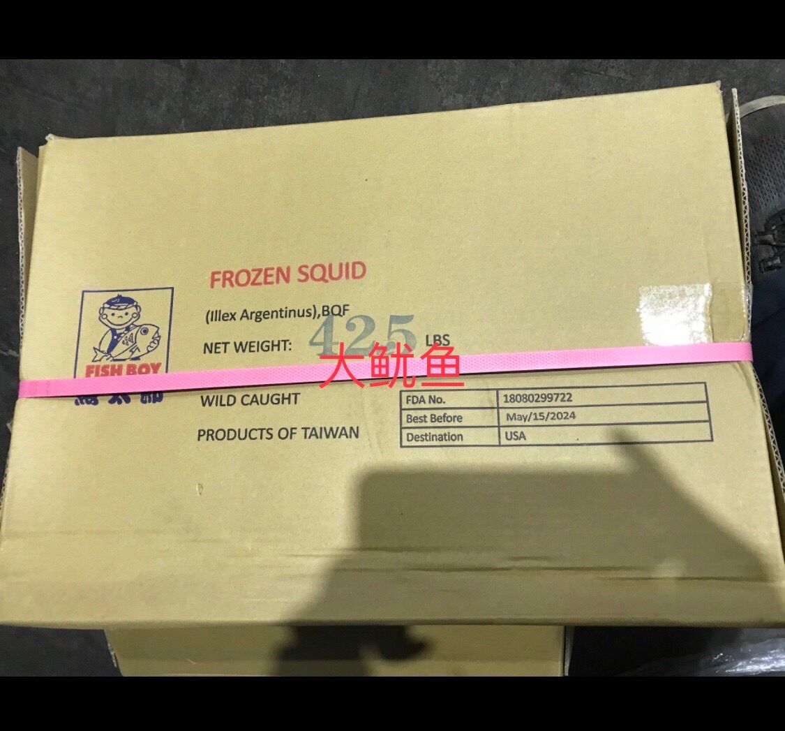 D大鱿鱼