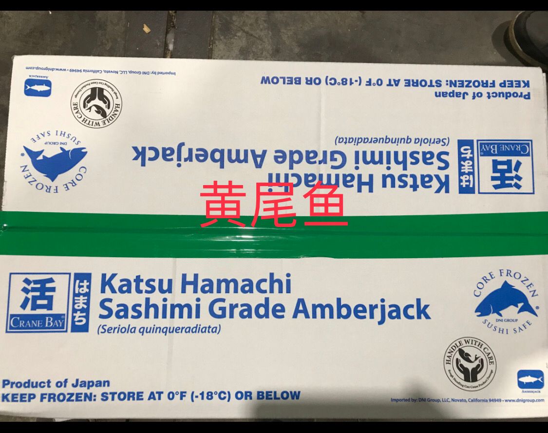 H黄尾鱼