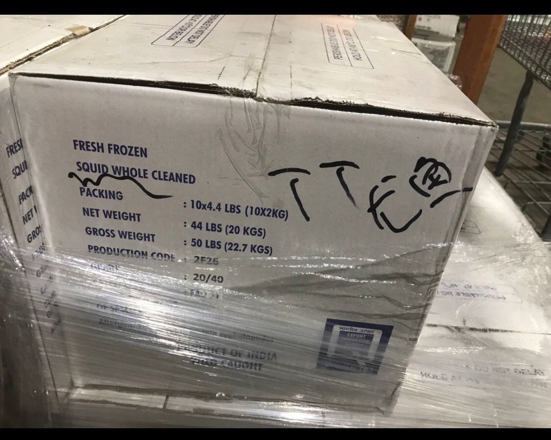 tt鱿鱼