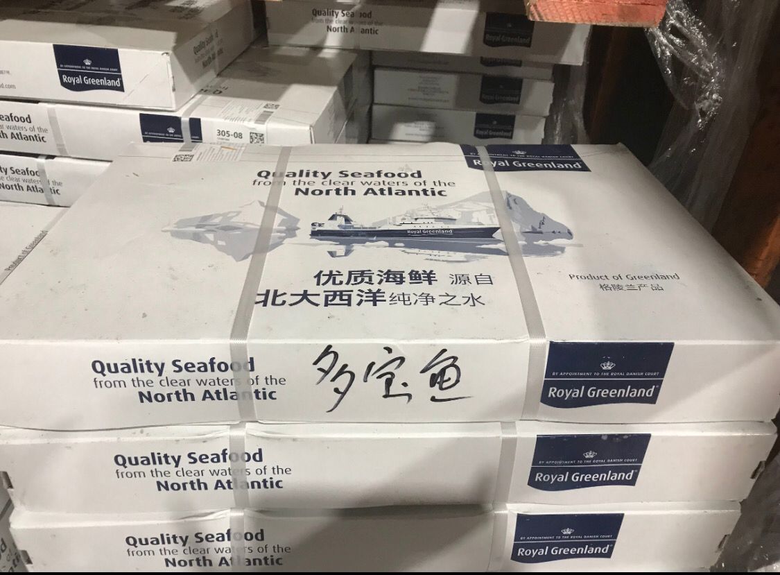 D多宝鱼