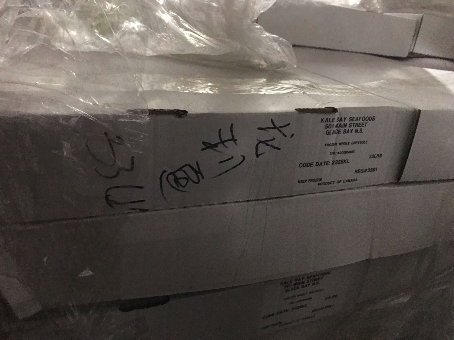 L龙利33