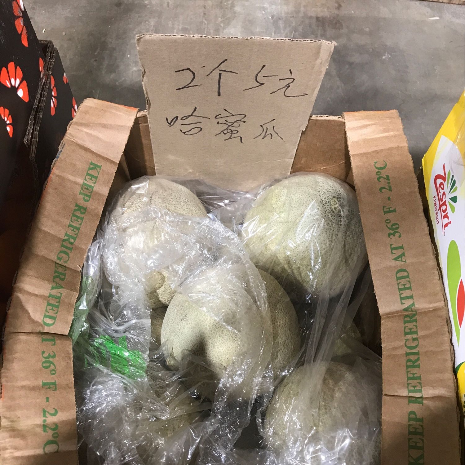 H哈密瓜