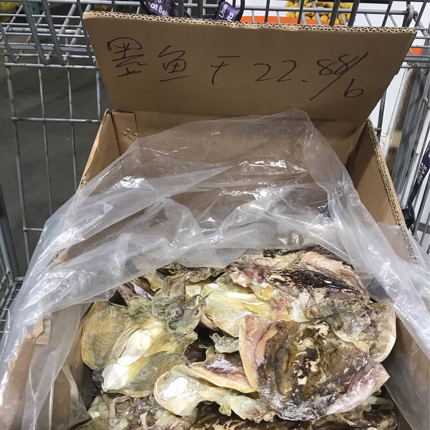M墨鱼干