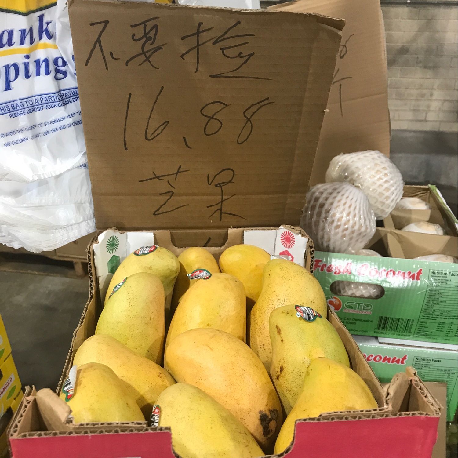 M芒果