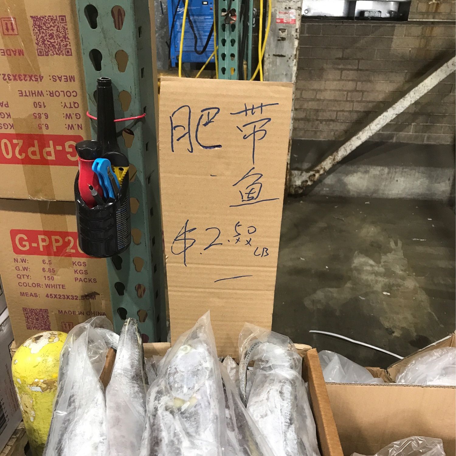 D带鱼