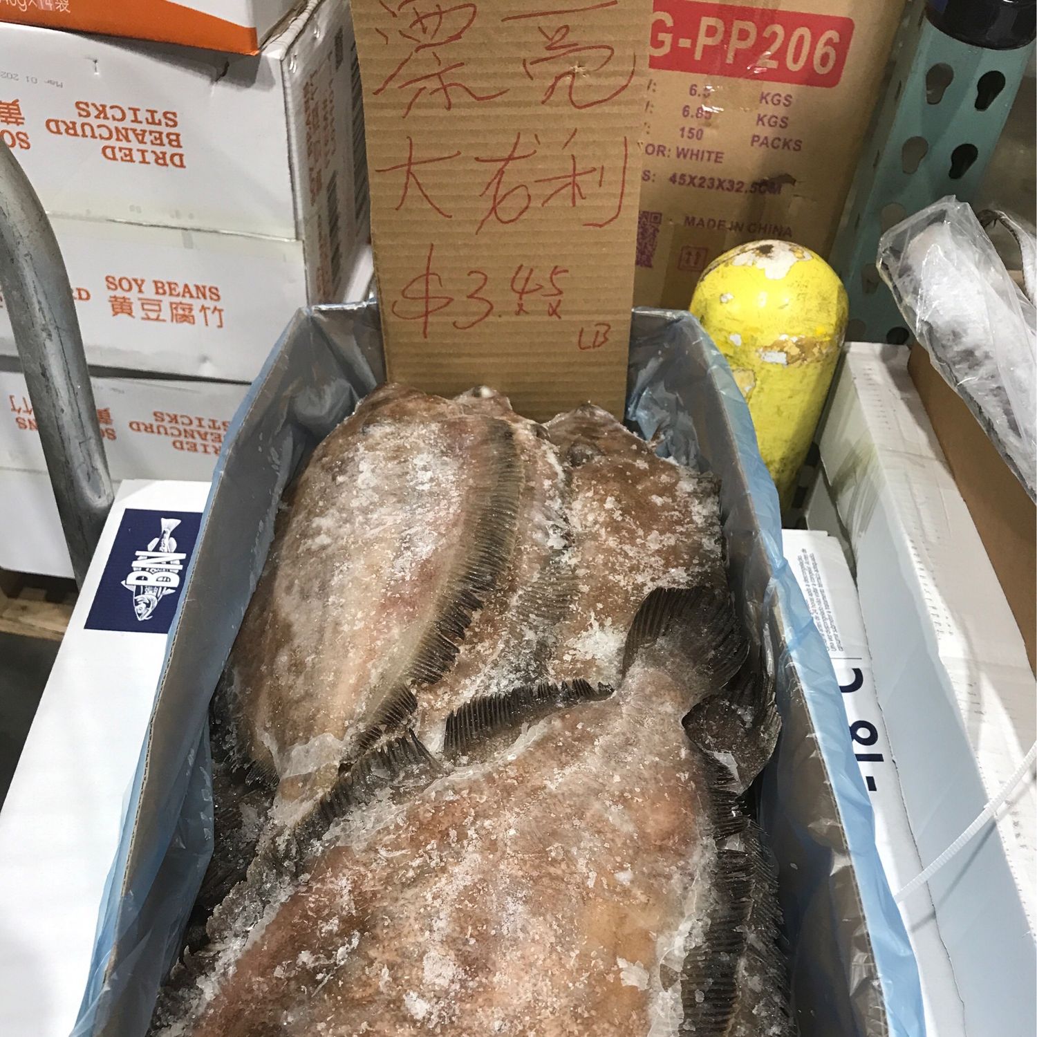L龙利