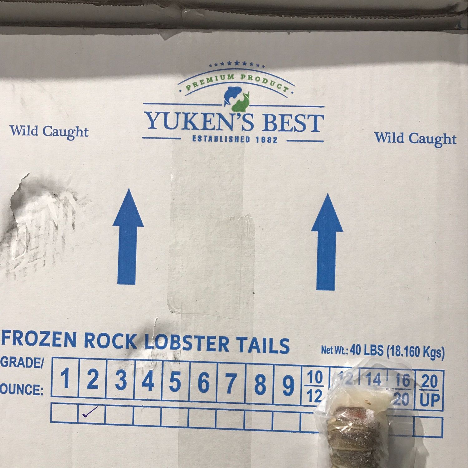 Lubester tail