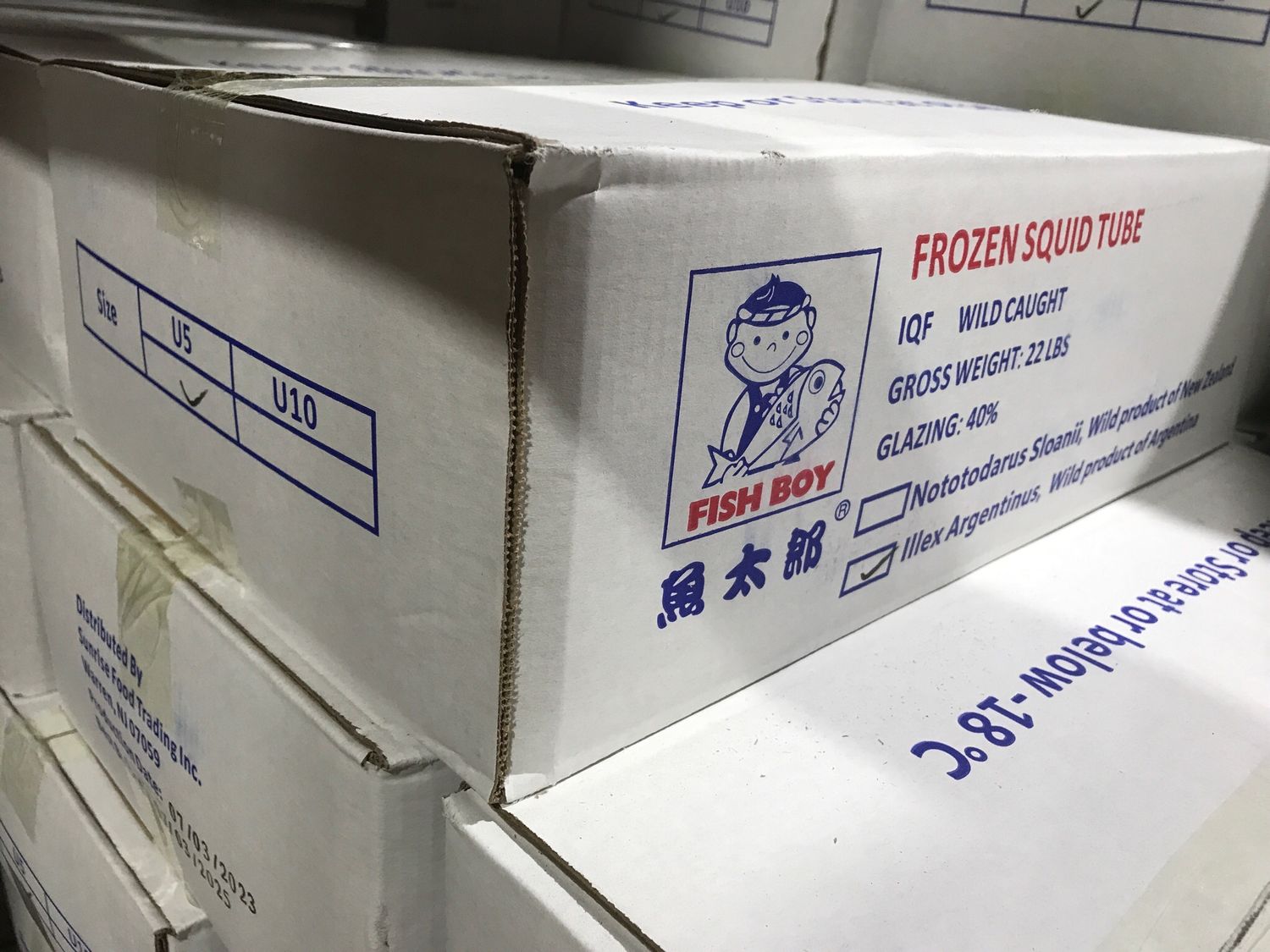 U5鱿鱼筒