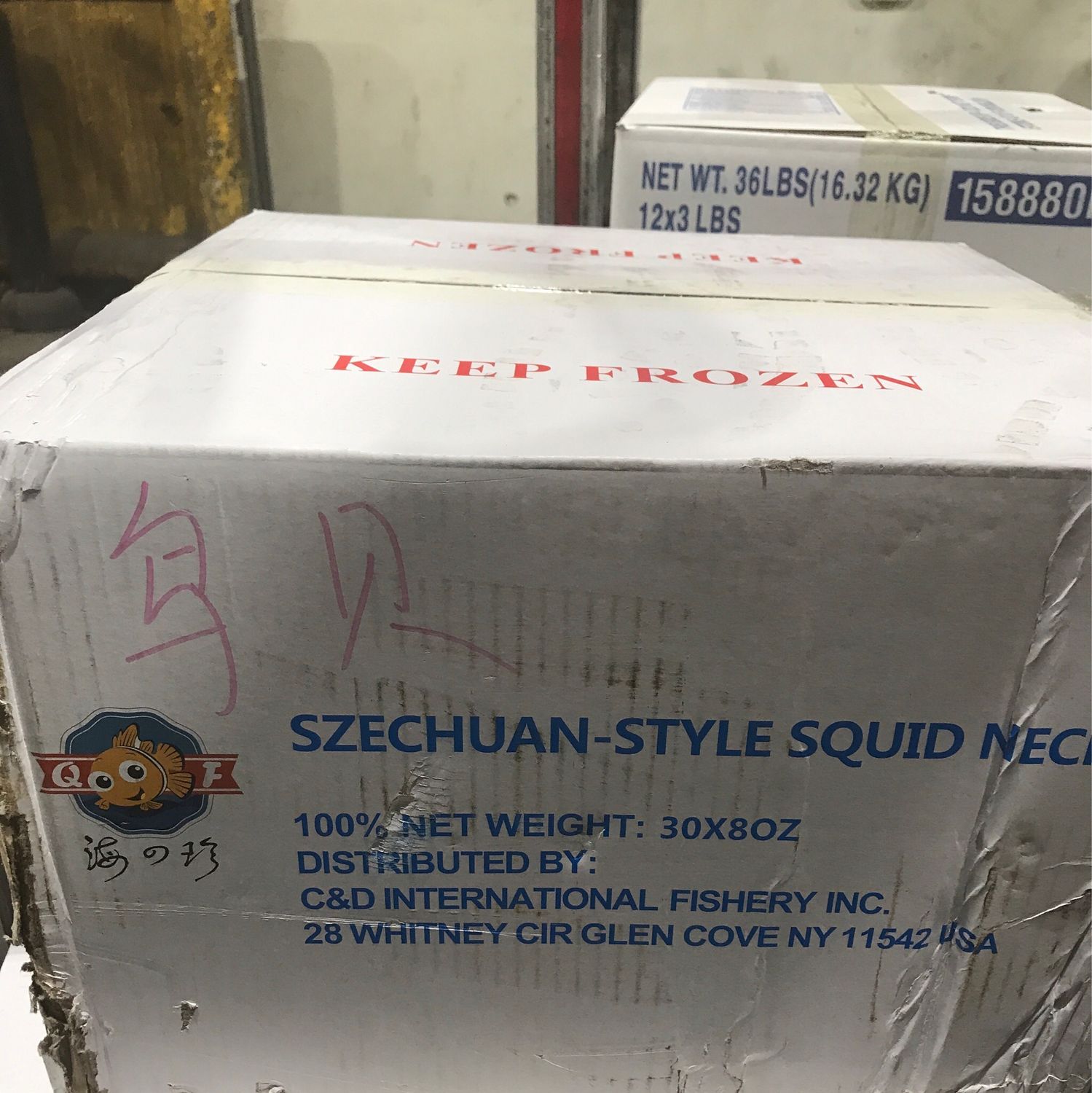 N鸟贝