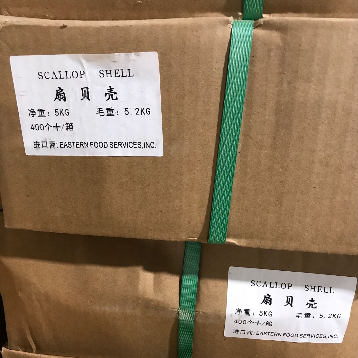 G干贝壳扇贝壳