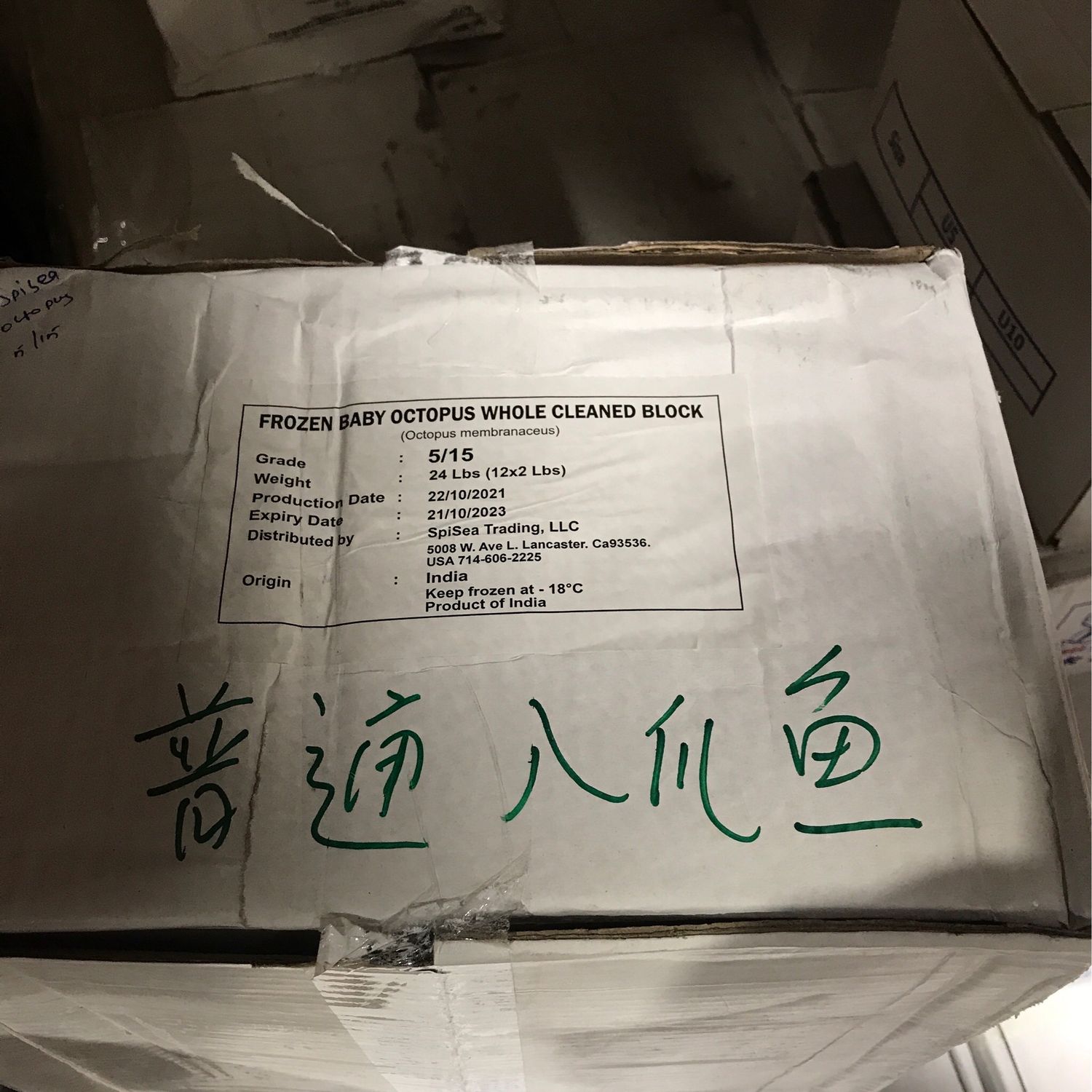 B八爪鱼