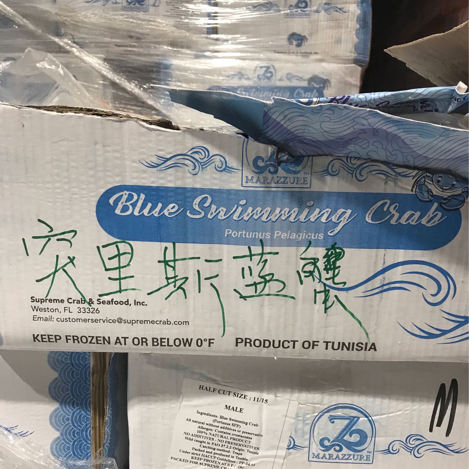 T突里斯蓝蟹