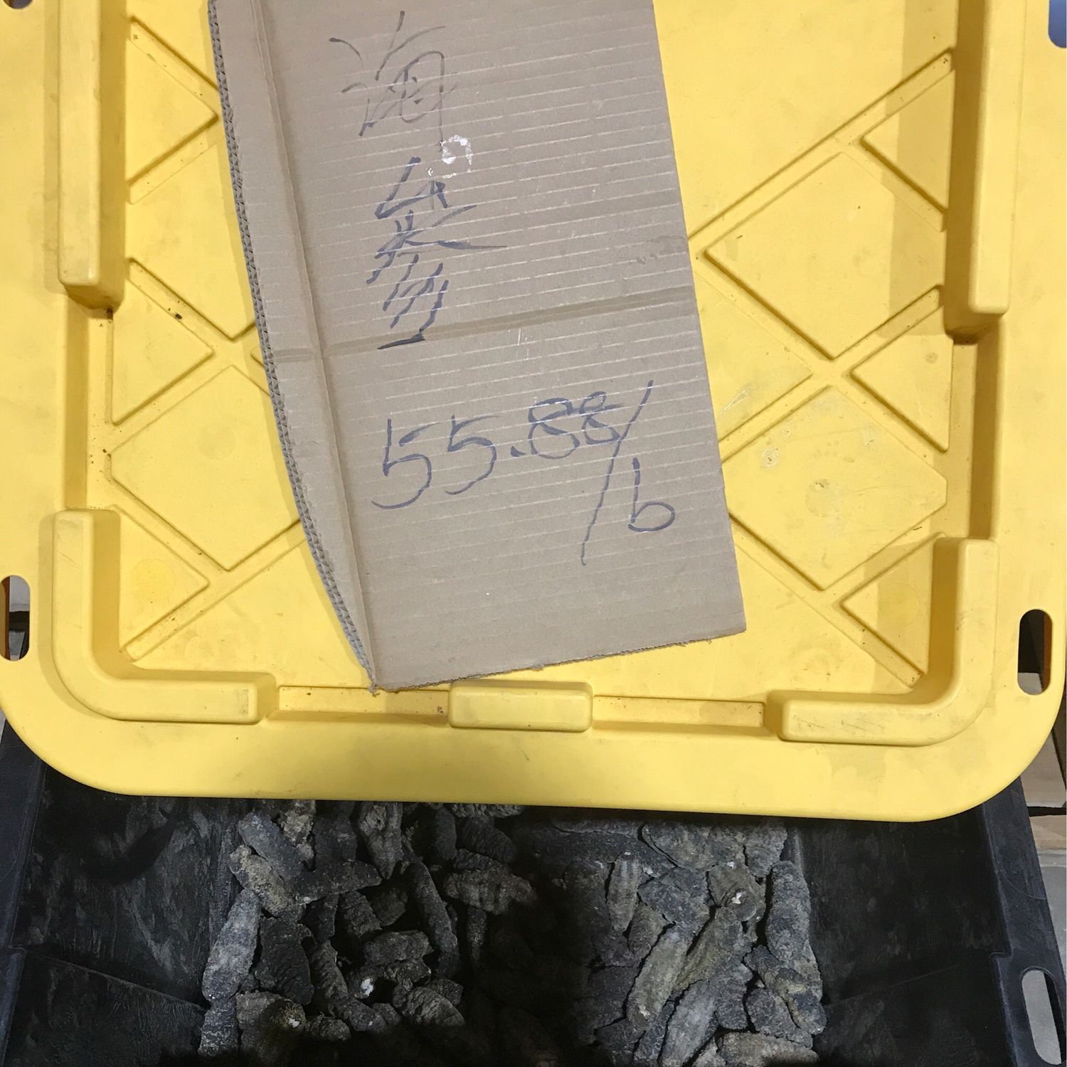 H海参