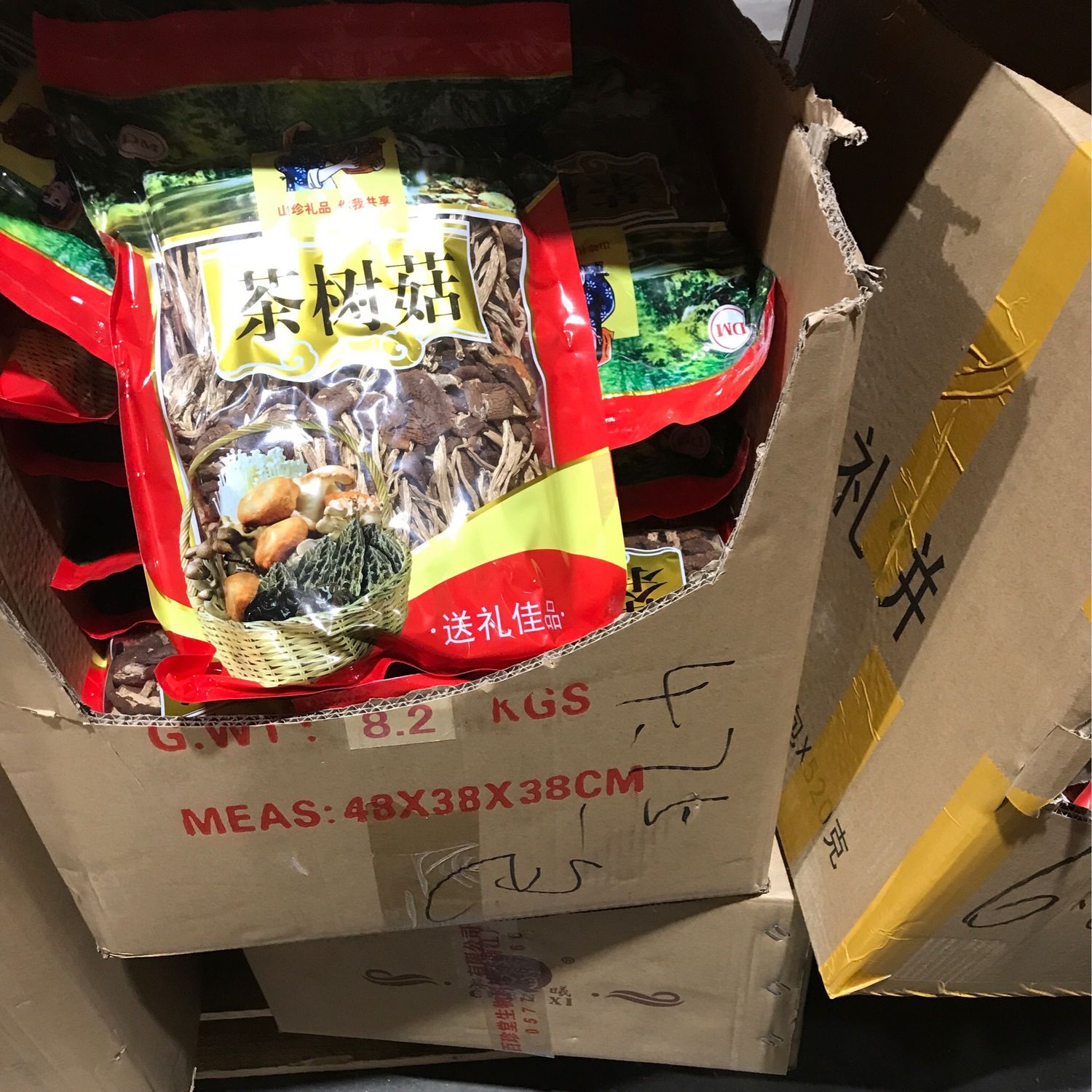 茶树菇