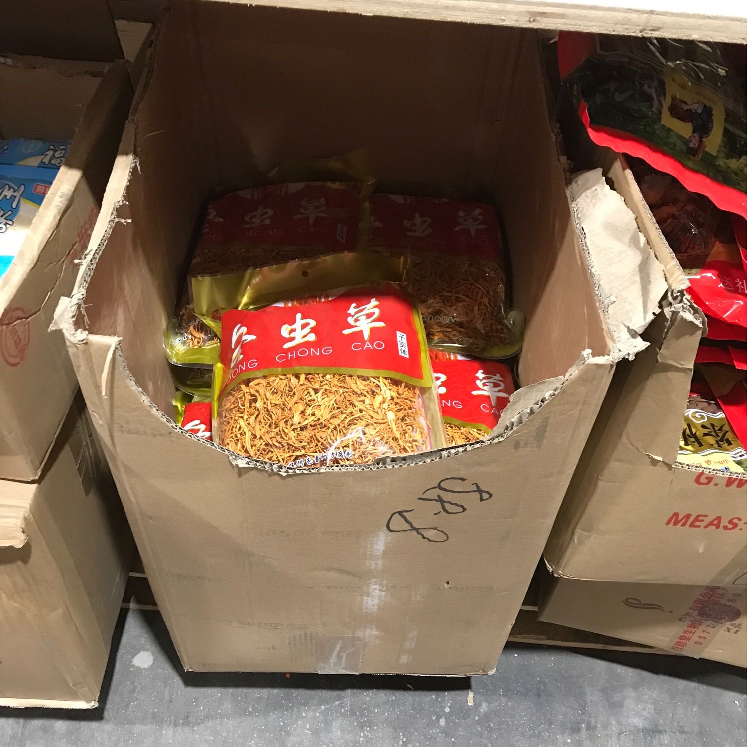 冬虫草