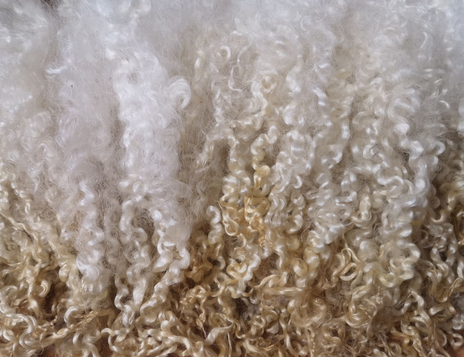 Masham Locken 20Gr natur