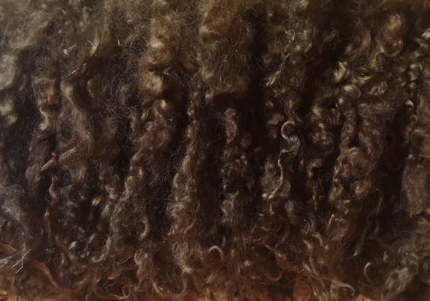 Wensleydale Locken 20Gr. braun, W11