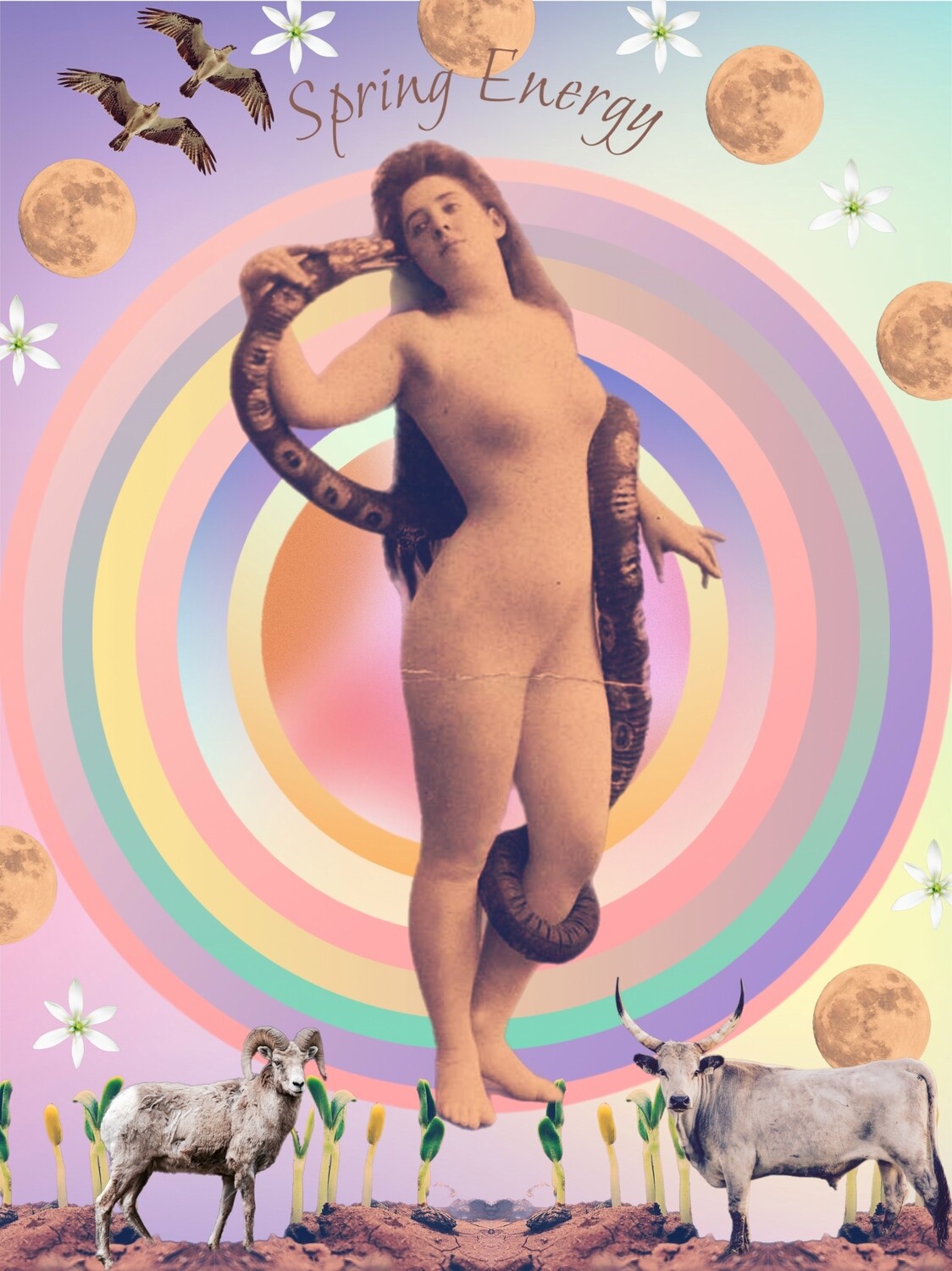 Spring Energy Zine