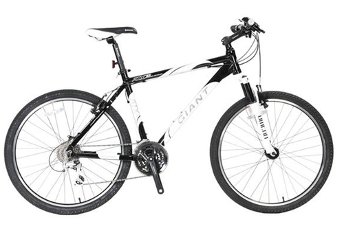 Giant atx best sale 770 mountain bike