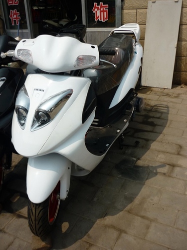 R9 - Sporty and Bold