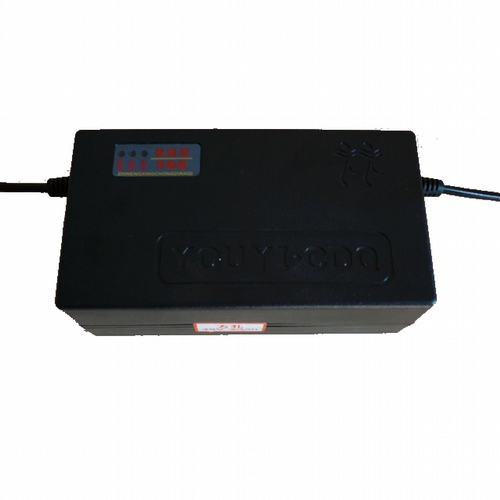 Battery Charger - 48V