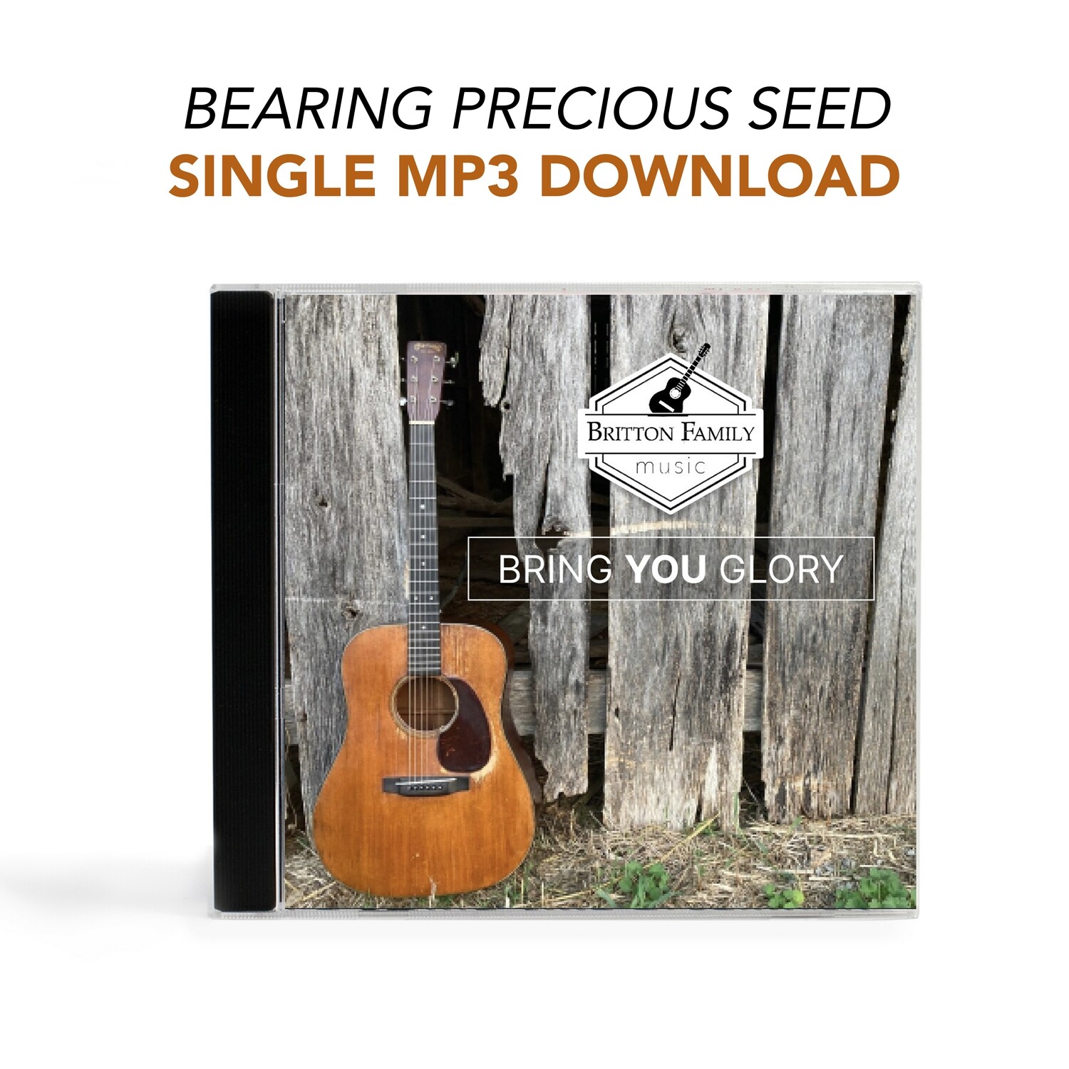 Bearing Precious Seed - Single MP3 Download