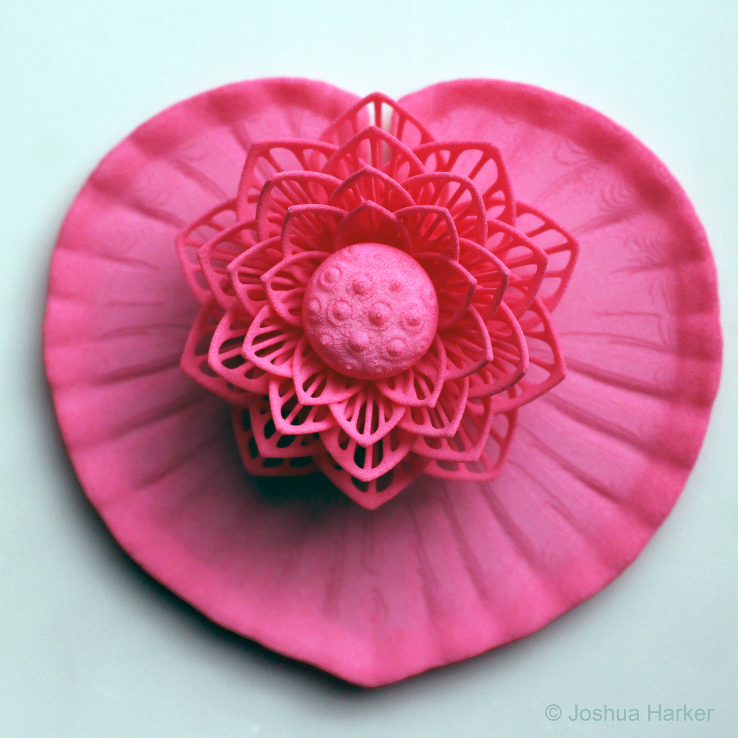 &quot;Grazie Arigato&quot; Lotus &amp; Lilypad (PINK)