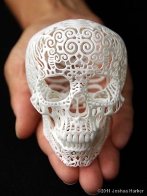 Crania Anatomica Filigre (small)