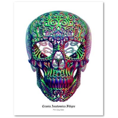 Crania Anatomica Filigre Print