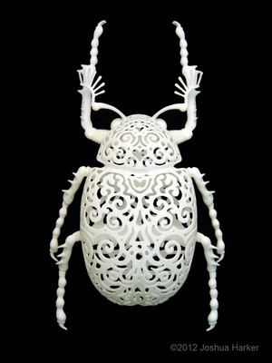 COLEOPTERA Filigre (small)