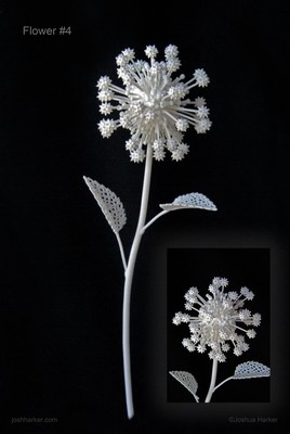 Fiore Quarto (#4)