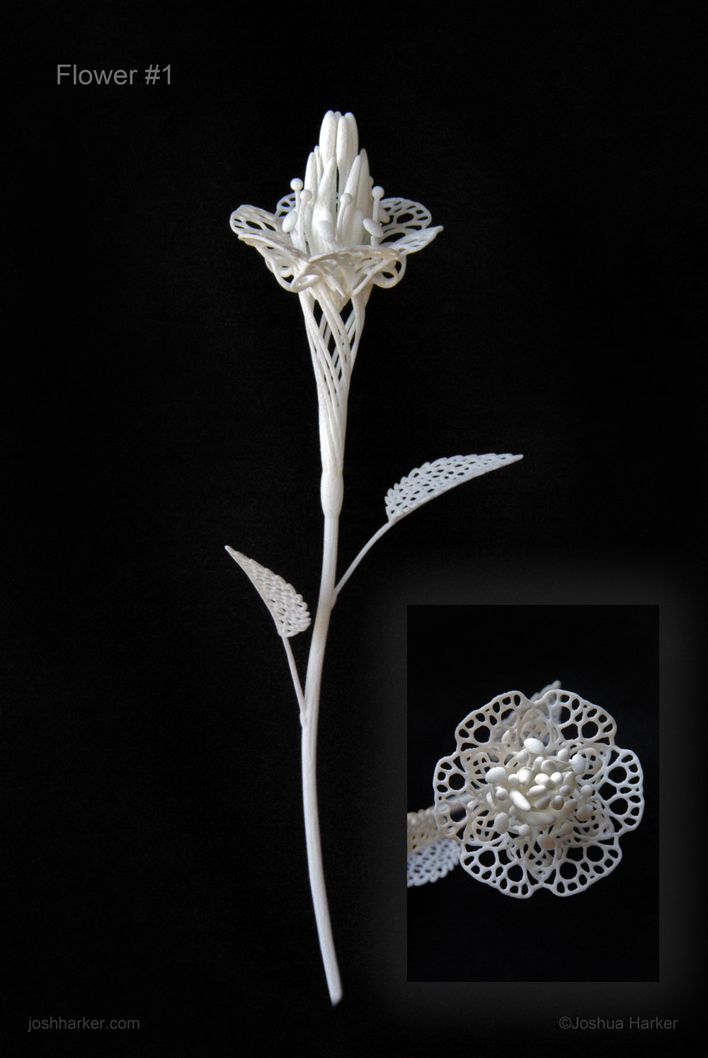 Fiore Primo (#1)